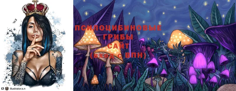 Псилоцибиновые грибы Magic Shrooms  магазин  наркотиков  гидра онион  Слюдянка 