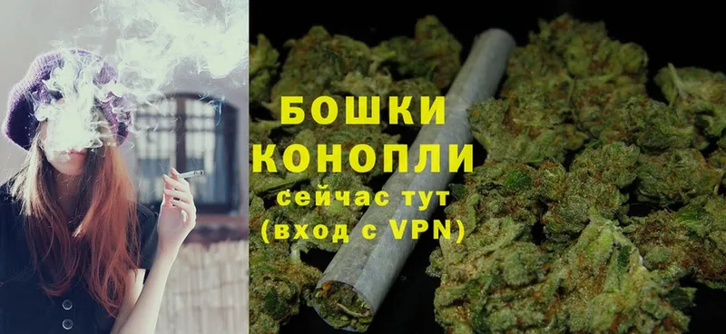 Бошки марихуана OG Kush  Слюдянка 